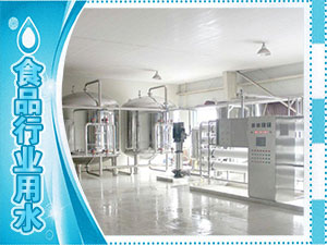 食品廠(chǎng)、水廠(chǎng)生產(chǎn)用水系列