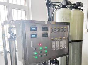 遼寧省大連某海參廠加工用水雙極反滲透設(shè)備